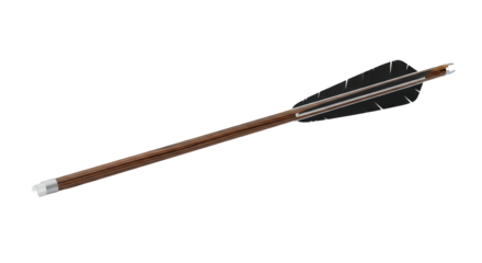 Isolated arrow for archery shooting, dark feather fletching, wood, silver nock on end