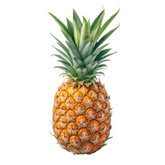 Whole ripe pineapple with green leaves isolated on black background