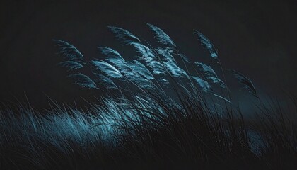 Wild pampas grass blades swaying in the wind at night with a mysterious dark blue light creating a moody atmosphere