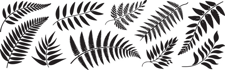 Botanical Fern Fronds Silhouettes Collection Lush Foliage Elements for Natural Decoration Projects