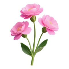 Naklejka premium Pink Gerbera Daisies with Green Stem and Leaves, Blooming on Transparent Background, 3D Realism Graphic Element
