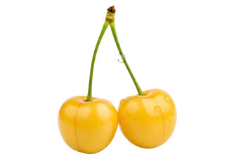 Isolated yellow cherries on a stem two ripe light-yellow cherries with dew drops on their skin