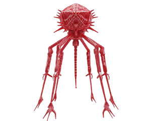 Red bacteriophage virus model isolated on white background