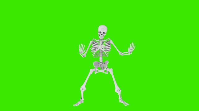 Skeleton shaking body in funny hip hop dance style on green screen background, comical spooky character animation for Halloween, entertainment and creative projects, chroma key, 3D loop animation