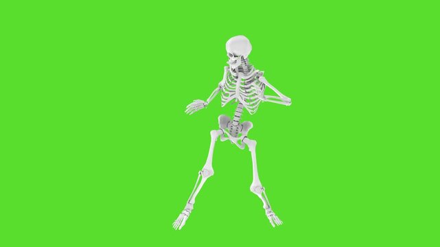 Skeleton doing silly goofy dance on green screen background, comical spooky character with ridiculous funny moves, perfect for Halloween, memes and entertainment projects, chroma key, 3D loopanimation