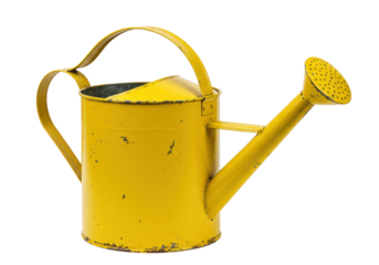 Isolated yellow watering can, gardening equipment for pouring water on plants and flowers outdoors