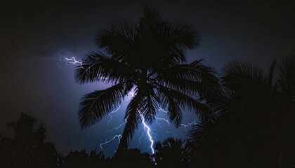 A dazzling streak of lightning illuminates the dark night sky, dramatically silhouetting a lone palm tree during a powerful and intense tropical storm