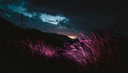 Mystical twilight landscape with vibrant purple-pink grass shimmering against a dark, stormy sky at dusk, evoking an ethereal and dreamlike natural scene