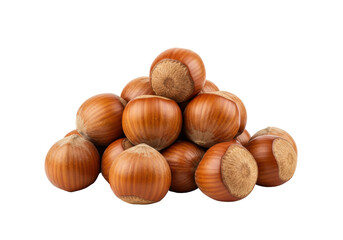 Isolated pile of hazelnuts, fresh raw brown seeds in shells, healthy snack food idea