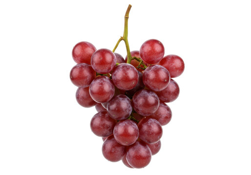 Isolated bunch of red grapes on a plain field, vibrant and tasty fruit for snacking, diet