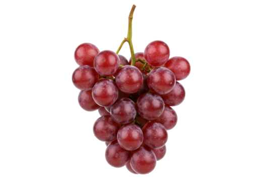 Isolated bunch of red grapes on a plain field, vibrant and tasty fruit for snacking, diet