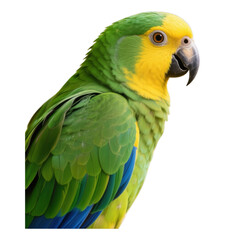 Fototapeta premium Vibrant Yellow-Green Parrot Profile with Transparent Background, High-Resolution Cutout for Web Design