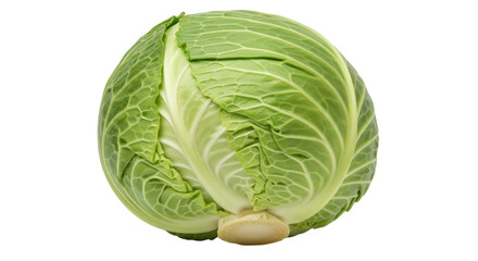 Isolated fresh green cabbage head close-up, food concept, healthy eating and vegetarianism