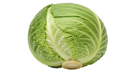 Isolated fresh green cabbage head close-up, food concept, healthy eating and vegetarianism