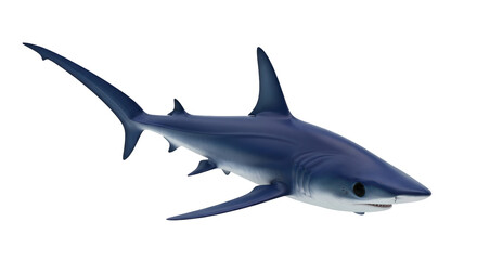 Isolated Blue shark swimming underwater predator in natural environment looking ferocious