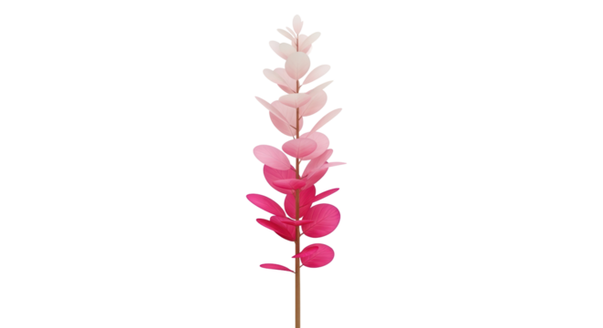 Isolated pink eucalyptus branch with rounded leaves, a simple floral accent for design - Powered by Adobe