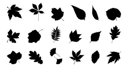 silhouette leaves set autumn on white background isolated, vector