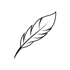 Simple black outline drawing of a feather on transparent background