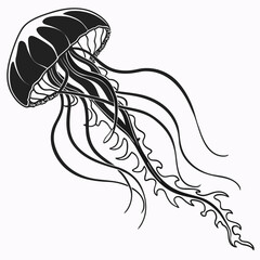 vector illustration of a girl