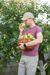 Vertical medium-full shot of a man in a cap smelling a green apple while holding a wicker basket full of apples in an orchard