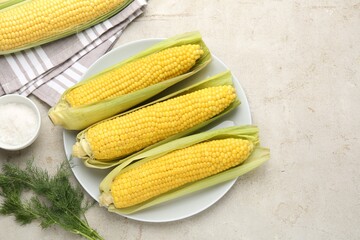 Tasty boiled corncobs, dill and salt on light table, flat lay