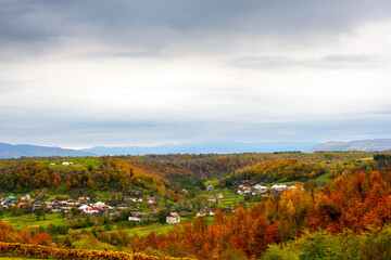 autumn landscape in mountains with village in the valley. overcast morning sky over carpathian countryside in fall season. beautiful location with colorful forest