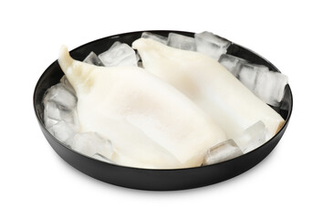 Pieces of raw squids with ice cubes isolated on white