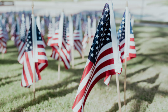 American flags planted in neat rows stretch across lawn near sidewalk, blurry residential houses, inviting quiet reflection from passersby in community centered 9/11 remembrance display, Texas