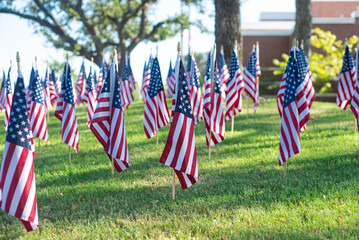 Rows of flags honor 9/11 victims outside Coppell Fire Station, where the blurred brick building behind evokes the heroism of first responders and the quiet strength of local service, Texas