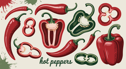 Hand-Drawn Chili Pepper Set – Red and Green Whole, Sliced, and Cut Peppers in Modern Vector Style for Farm Market, Eco Product, and Natural Food Design Elements