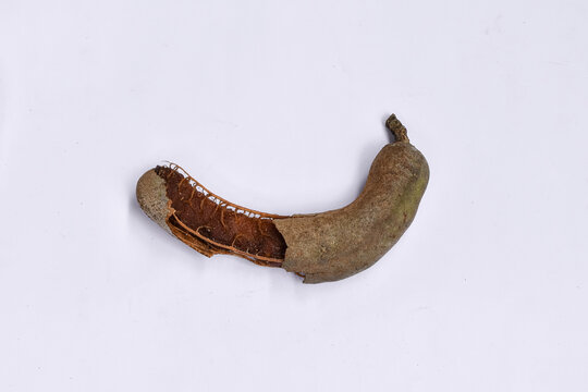 Tamarindus indica white background, Tamarindus indica food flavoring and traditional herbal medicine ingredients