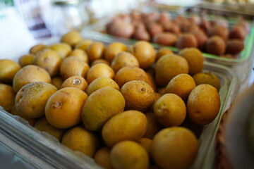A few potatoes in a container.  Harvesting.