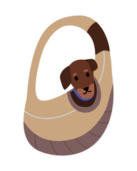 Small dog looking out of the pet carrier bag flat vector illustration isolated on white.