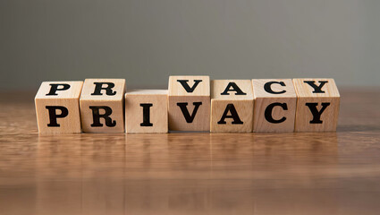 Privacy Explained AI Insights from google import genai