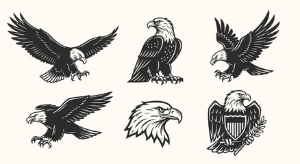 Fototapeta premium Eagle bird set bundle vector silhouette illustration isolated on a white background