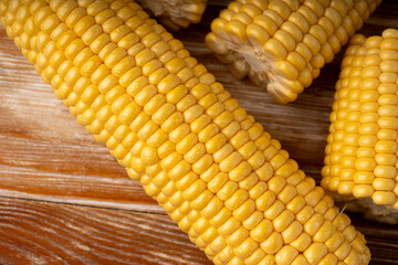 Sweet corn ears closeup. Fresh maize cob macro texture, autumn sweetcorn, corncob close up