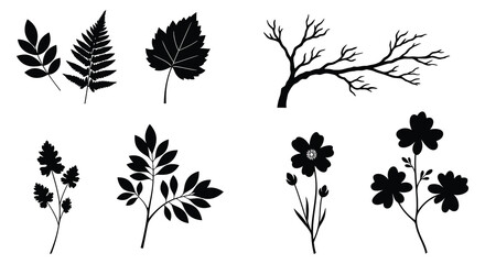 Silhouettes of various plants and flowers in a black and white design