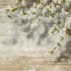 light and airy springtime background in wood texture