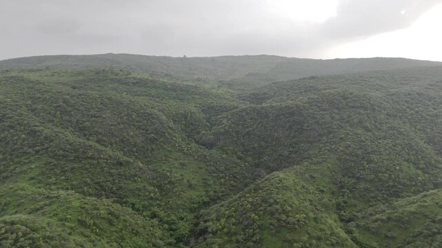 Aerial drone video of lush green Aravalli mountains near Rajsamand and Udaipur in Rajasthan, India, filmed after the monsoon season with dramatic cloudy skies enhancing the scenic landscape view.