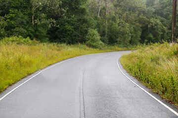 Winding asphalt road through a lush green forest under a summer sky