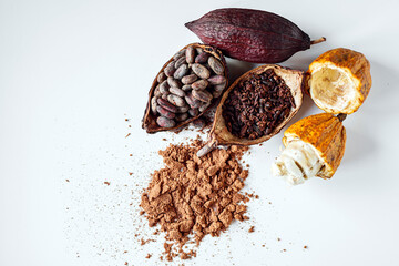 Top view of cocoa powder with cocoa bean and cut in half cacao pods, cocoa nibs on white background