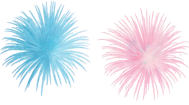 Two Sparkling Fireworks Displays in Light Blue and Pink