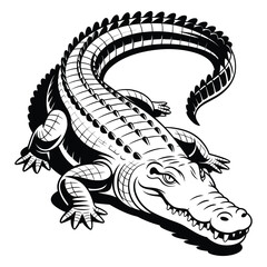 crocodile on black