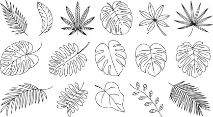 Decorative Leaves and Foliage Icons Collection for Graphic and Web Use