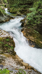 Fototapeta premium Flowing river cascades over rocky terrain with lush greenery surrounding. Vintgar Gorge, Triglav National Park, Slovenia