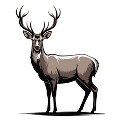 Obraz premium silhouette of a deer