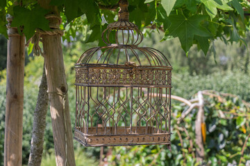 Fototapeta premium Vintage Ornate Birdcage Hanging from Rope on Tree Branch in Lush Garden