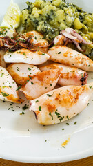 Grilled squid served with mashed potatoes and garnished with fresh herbs and lemon. Piran, Slovenia