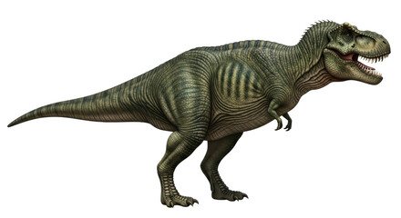 Isolated Tyrannosaurus Rex dinosaur in a full body side view of the reptile predator
