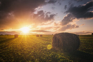 Sunset over hay bales in a field. Golden light bathes the landscape, creating a tranquil scene. For...